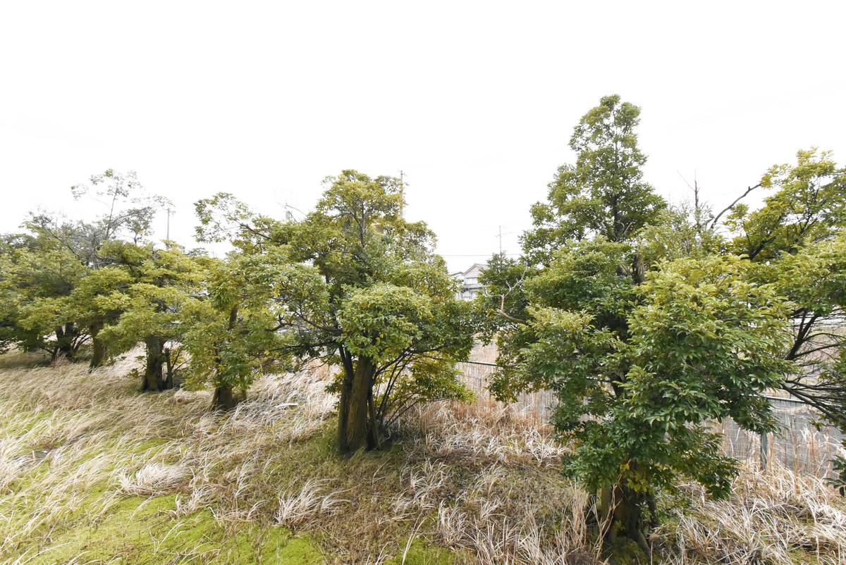 Vista de Village House Yoshida Miyakouji em Tsubame-shi